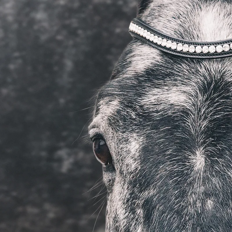 Schockemohle Equitus Beta Anatomic Bridle - Patent Black/Silver-3