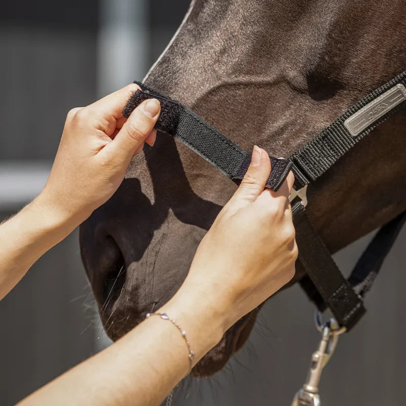 QHP Tack Up Headcollar - Black-1