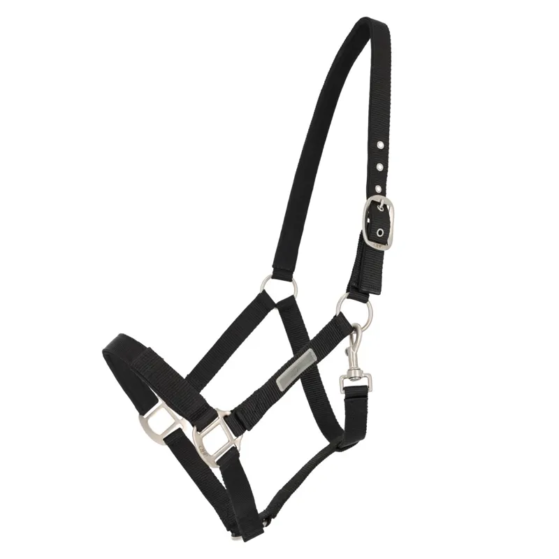 QHP Tack Up Headcollar - Black