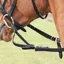 Shires Flexi-Rein - Black