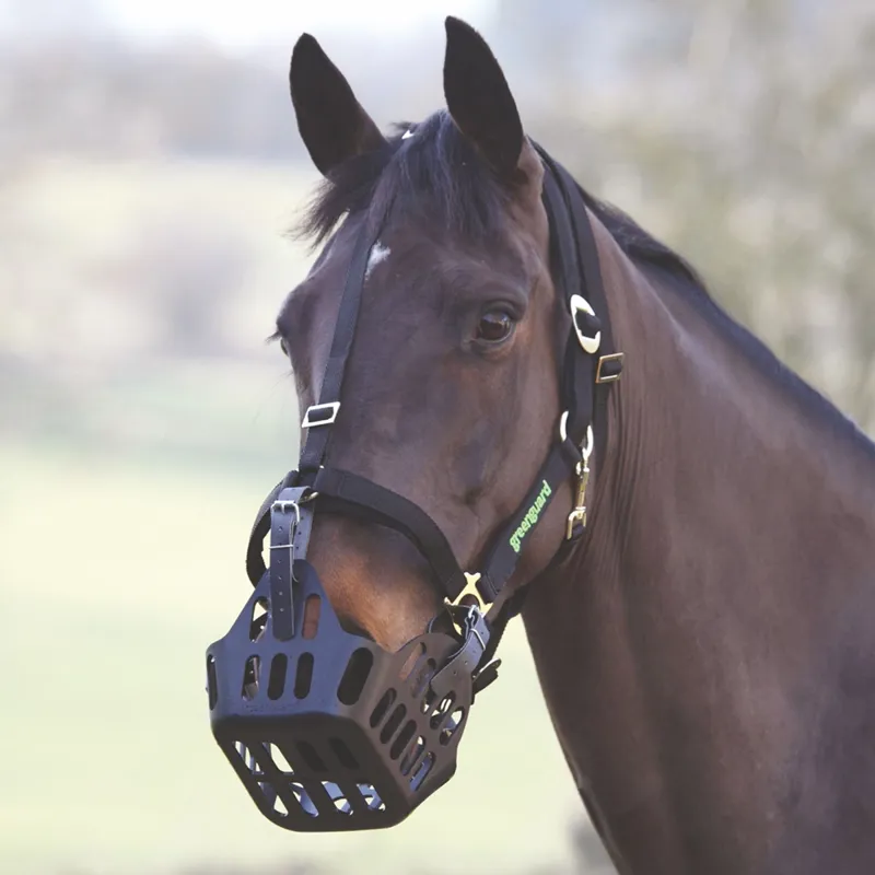 Shires Greenguard Headcollar - Black-1