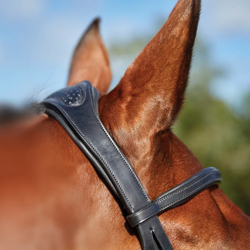 Collegiate ComFiTec Training Bridle - Black - TRIAL-1