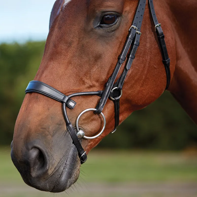 Collegiate ComFiTec Training Bridle - Black - TRIAL-2
