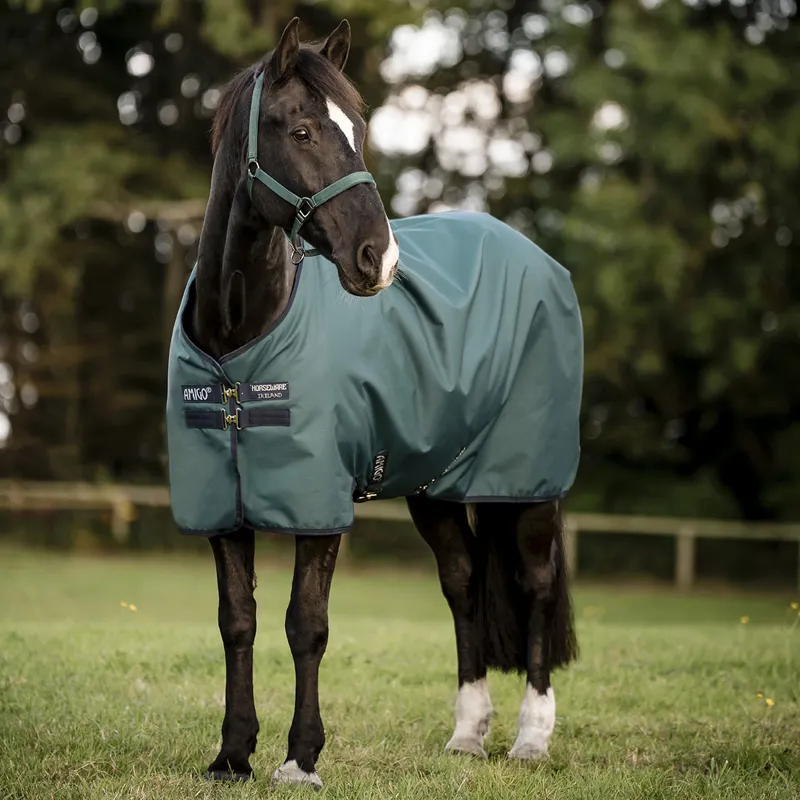 Amigo Ripstop 900D Standard Neck 50g Turnout Rug - Dynasty Green
