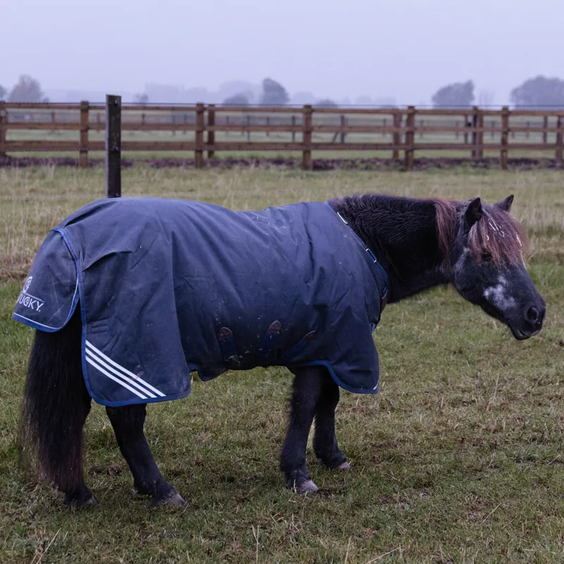 Kentucky All Weather Comfort 100g Turnout Rug - Navy-5