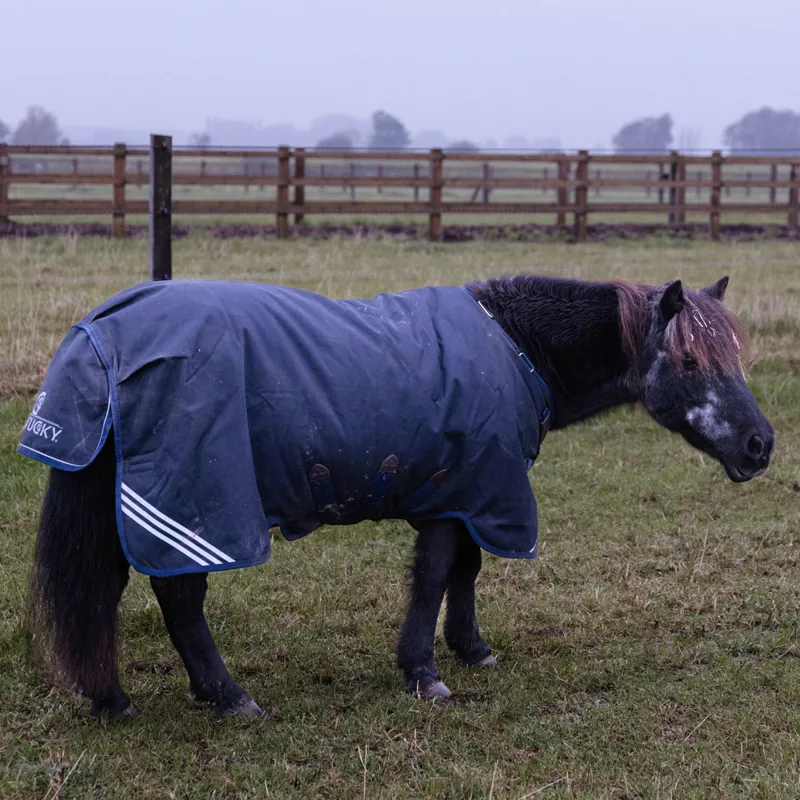 Kentucky All Weather Comfort 0g Turnout Rug - Navy-4