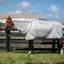 Amigo Bug Rug Plus Fly Rug - Silver/Titanium Grey/Silver