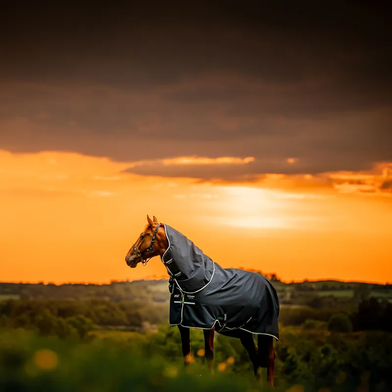 Amigo Ripstop 900D Plus 0g Turnout Rug - Witney Navy-12