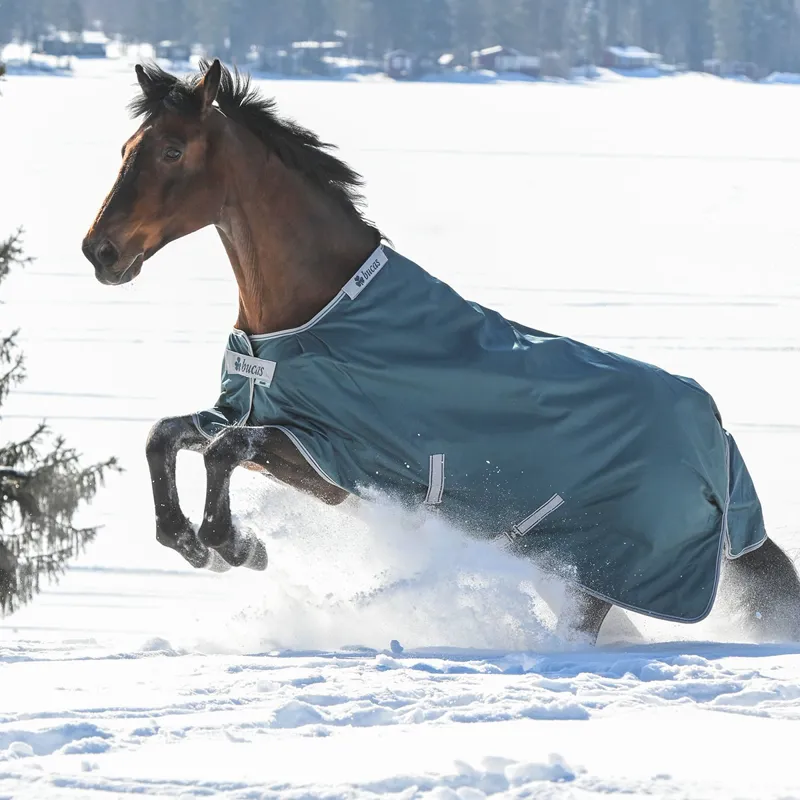 Bucas Atlantic 50g Standard Neck Turnout Rug - Atlantic Green-3