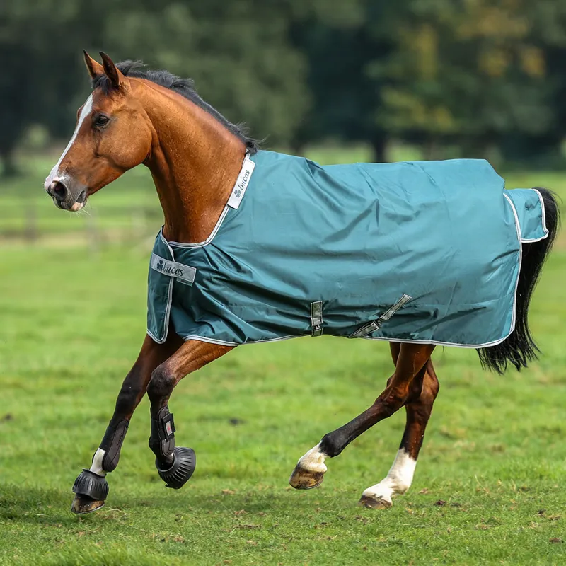 Bucas Atlantic 50g Standard Neck Turnout Rug - Atlantic Green