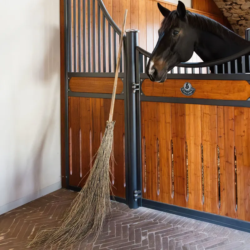 Grooming Deluxe Bamboo Broom-2