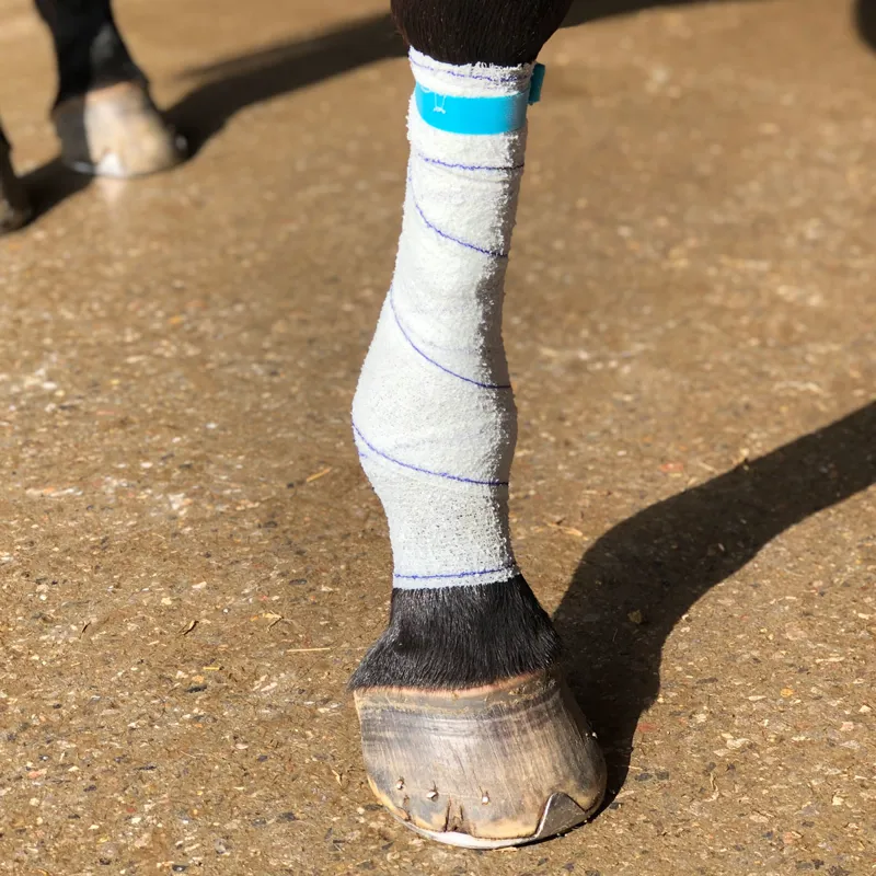 Equi-N-Ice Reusable Therapeutic Cooling Horse Bandage-3