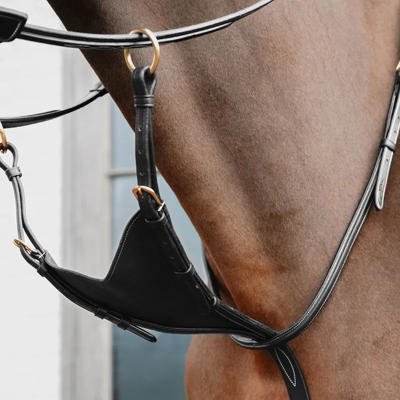 Dy'on D Collection Soft Leather Bib Martingale - Black-1