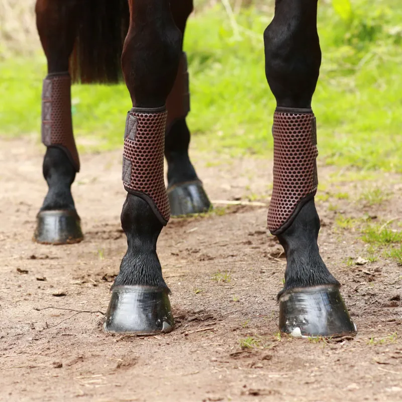 Equilibrium Tri-Zone Brushing Boots - Brown-7