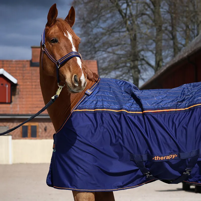 Bucas Therapy Big Neck Cooler Rug - Navy/Orange-1