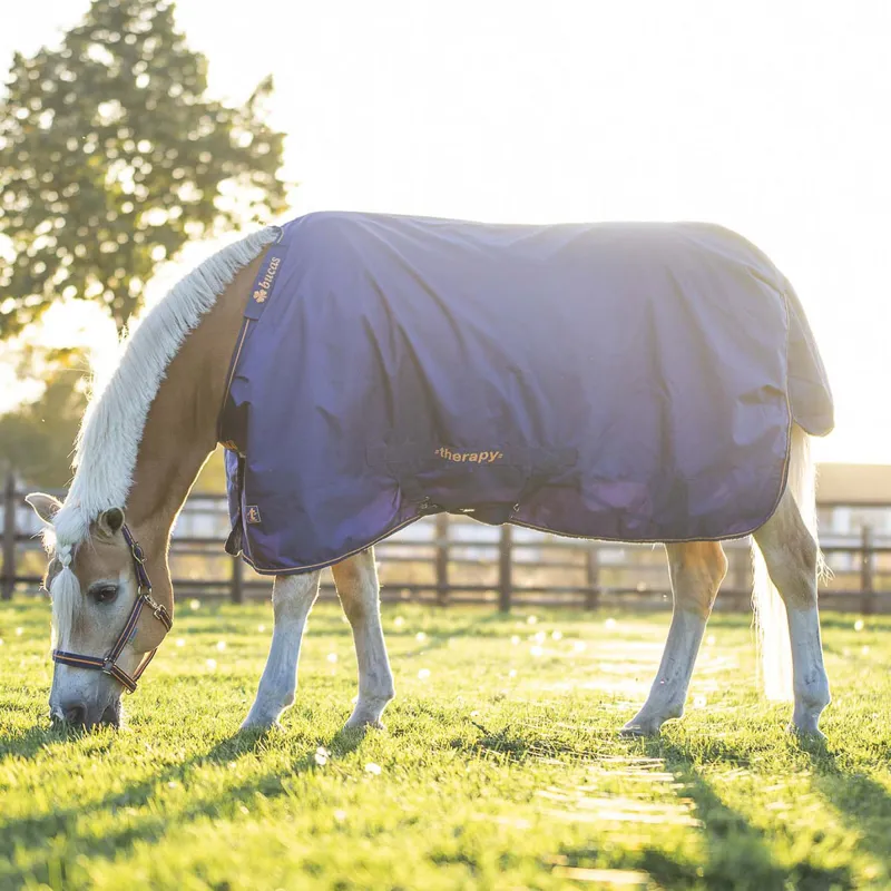 Bucas Therapy 0g Turnout Rug - Navy/Orange-9