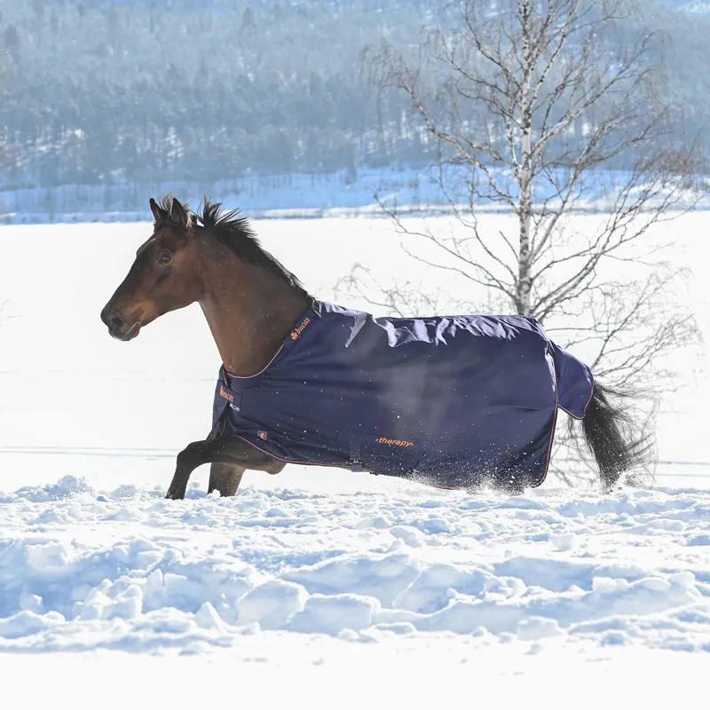 Bucas Therapy 0g Turnout Rug - Navy/Orange-6