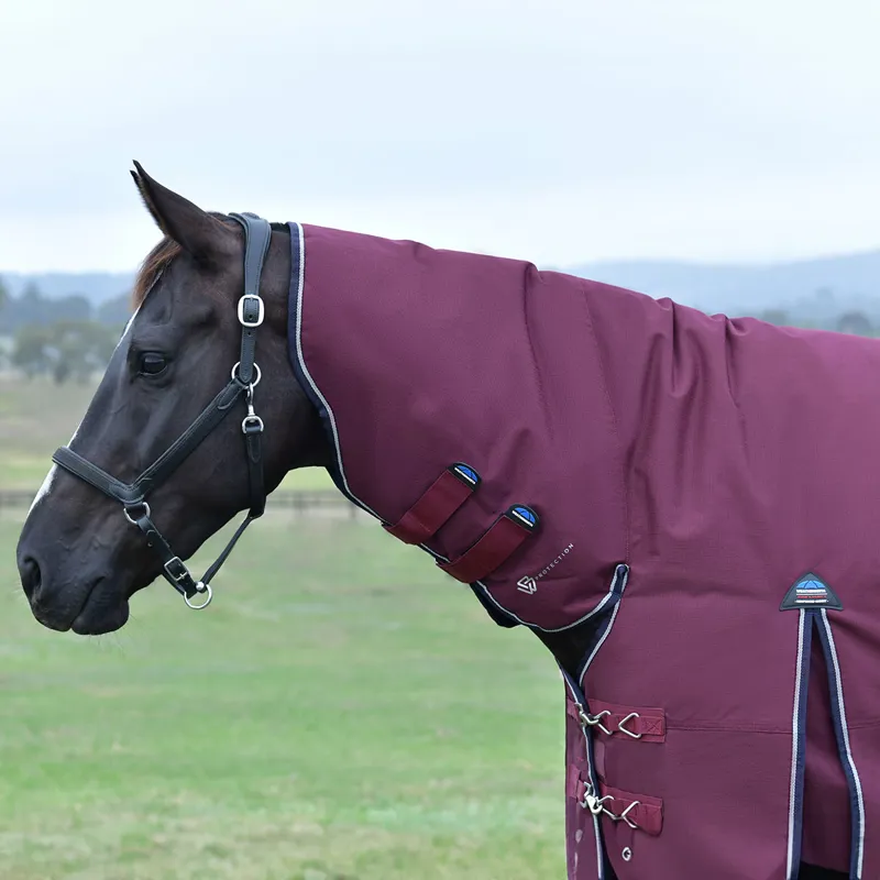 WeatherBeeta ComFiTec Essential 360g Combo Turnout Rug - Burgundy/Navy-9