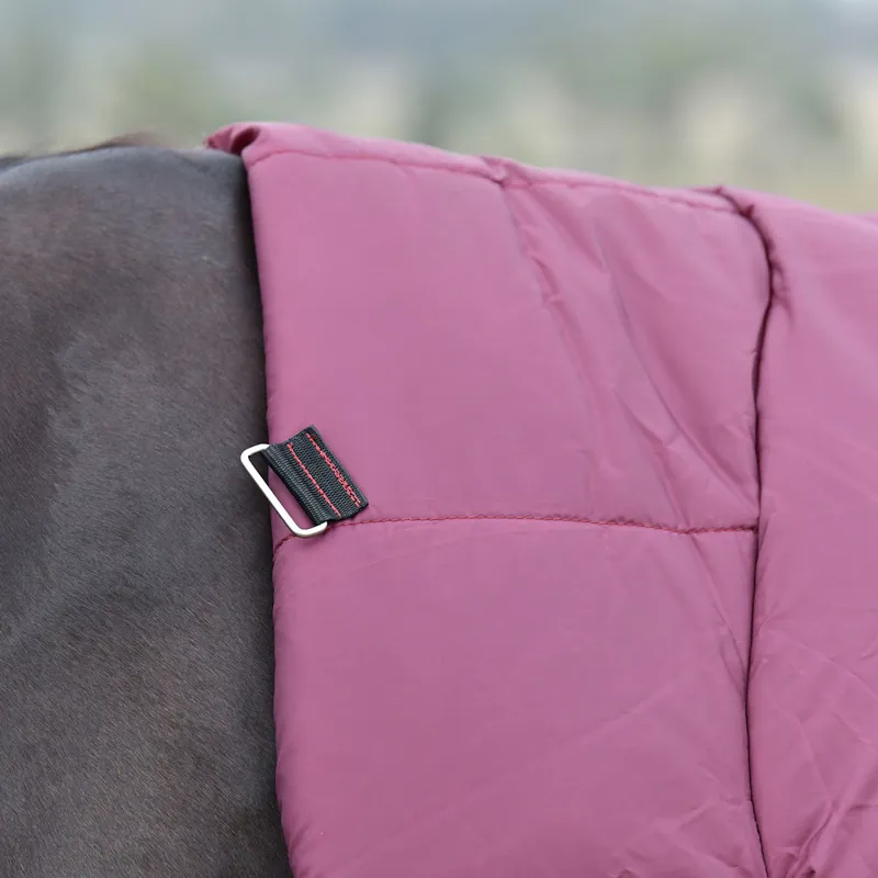 WeatherBeeta ComFiTec Essential 220g Combo Turnout Rug - Burgundy/Navy-7