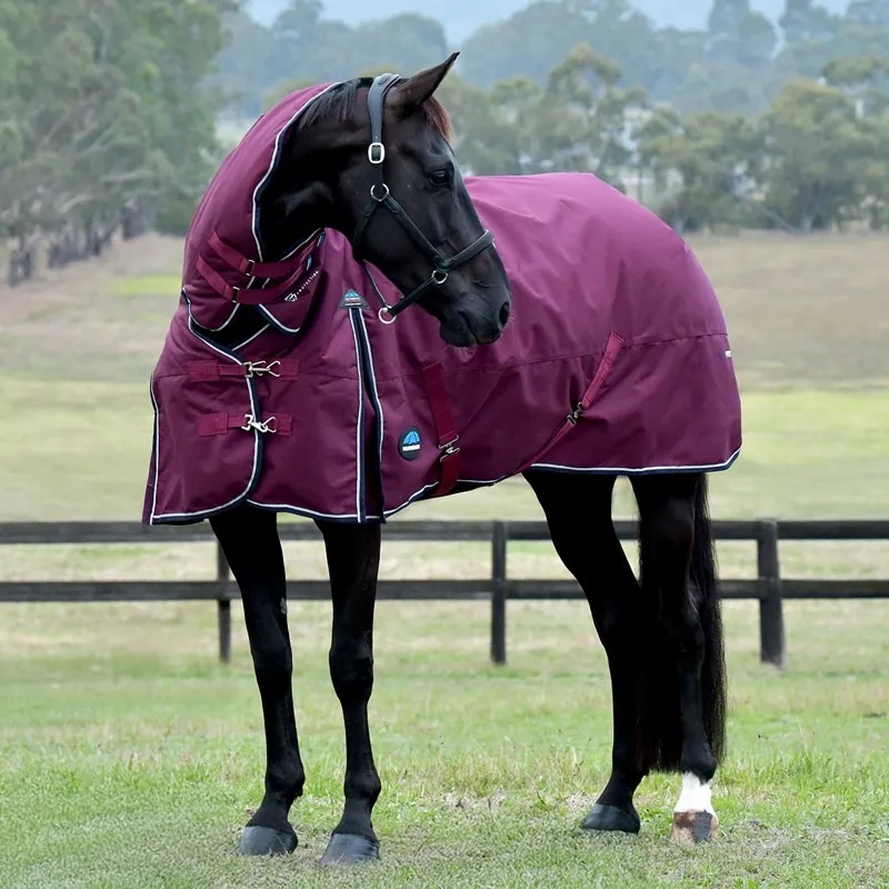 WeatherBeeta ComFiTec Essential 360g Combo Turnout Rug - Burgundy/Navy-3