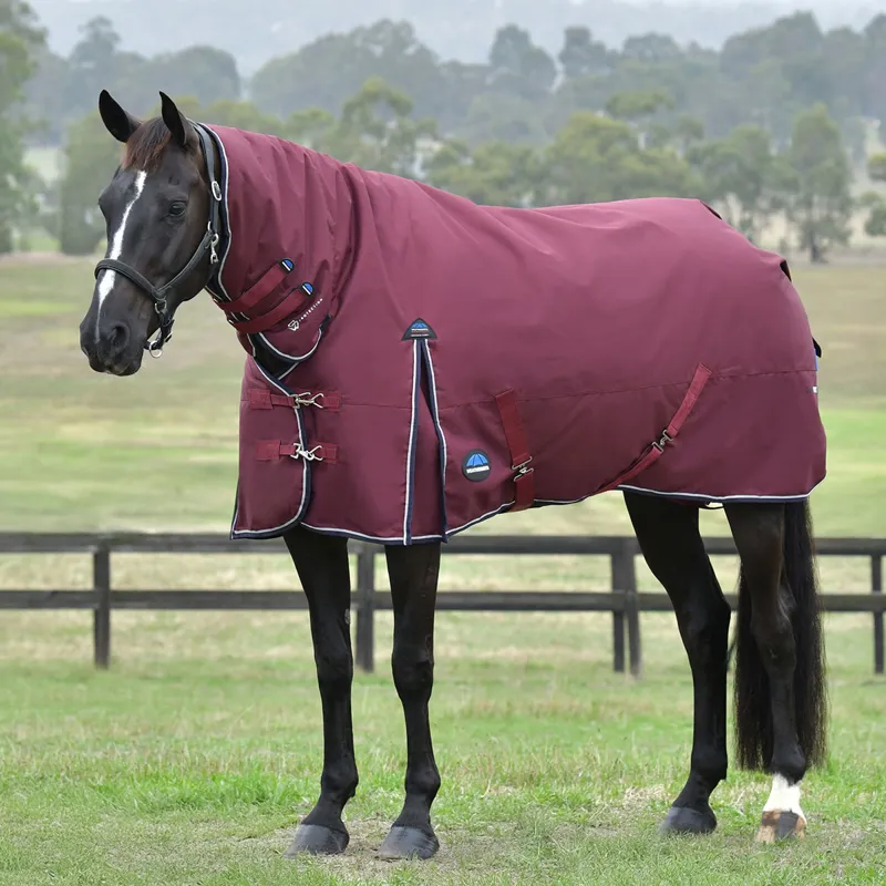 WeatherBeeta ComFiTec Essential 220g Combo Turnout Rug - Burgundy/Navy-3