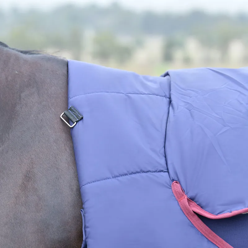 WeatherBeeta ComFiTec Essential 50g Combo Turnout Rug - Navy/Burgundy-5