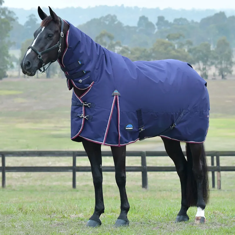 WeatherBeeta ComFiTec Essential 50g Combo Turnout Rug - Navy/Burgundy