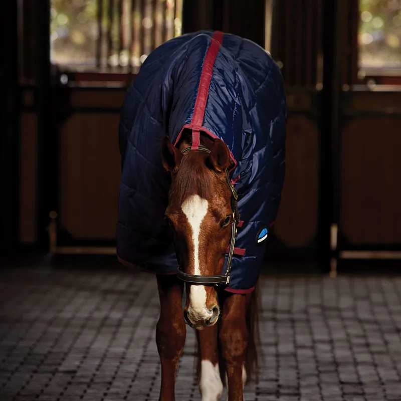 WeatherBeeta ComFiTec 210D Channel Quilt 100g Combo Stable Rug - Navy-4
