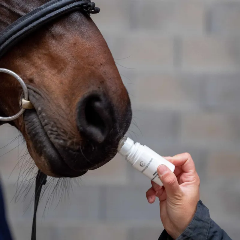 Canter Equestrian Zenroll SPF Calming Balm-1