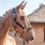 Henry James Comfort 3D Air Headcollar - Black