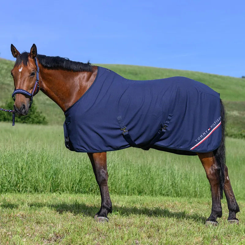 Tommy Hilfiger Cornell Waffle Cooler Rug - Desert Sky 6ft0