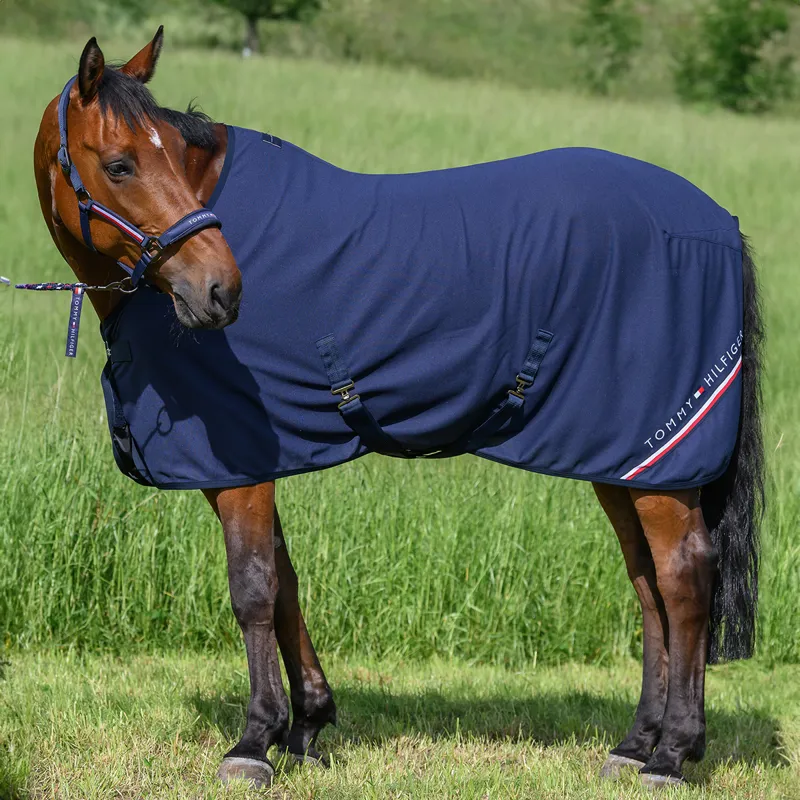 Tommy Hilfiger Cornell Waffle Cooler Rug - Desert Sky 6ft0-2