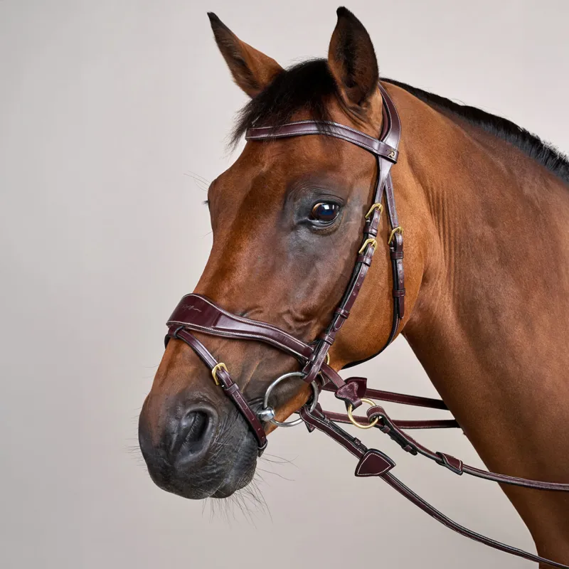 Dy'on D Collection D Motion Flash Bitless Multi Bridle - Brown-2