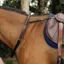 Equi-Sential Leather Neck Strap with Handle - Black