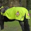 EQUI-FLECTOR Waterproof Exercise Sheet - Yellow