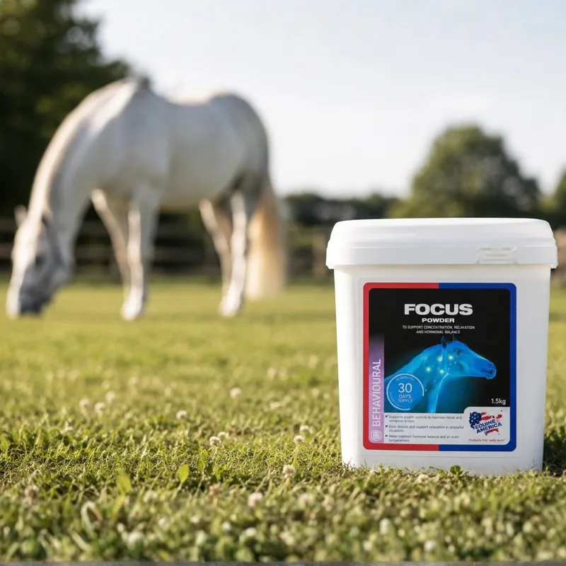Equine America Focus Powder-2