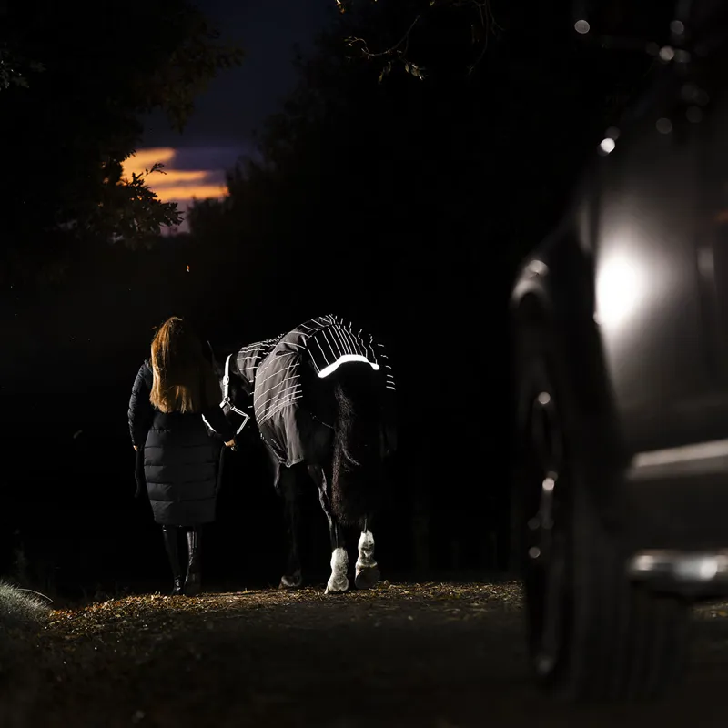Amigo 1200D FieldSafe Reflectech Plus 250g Turnout Rug - Black-7