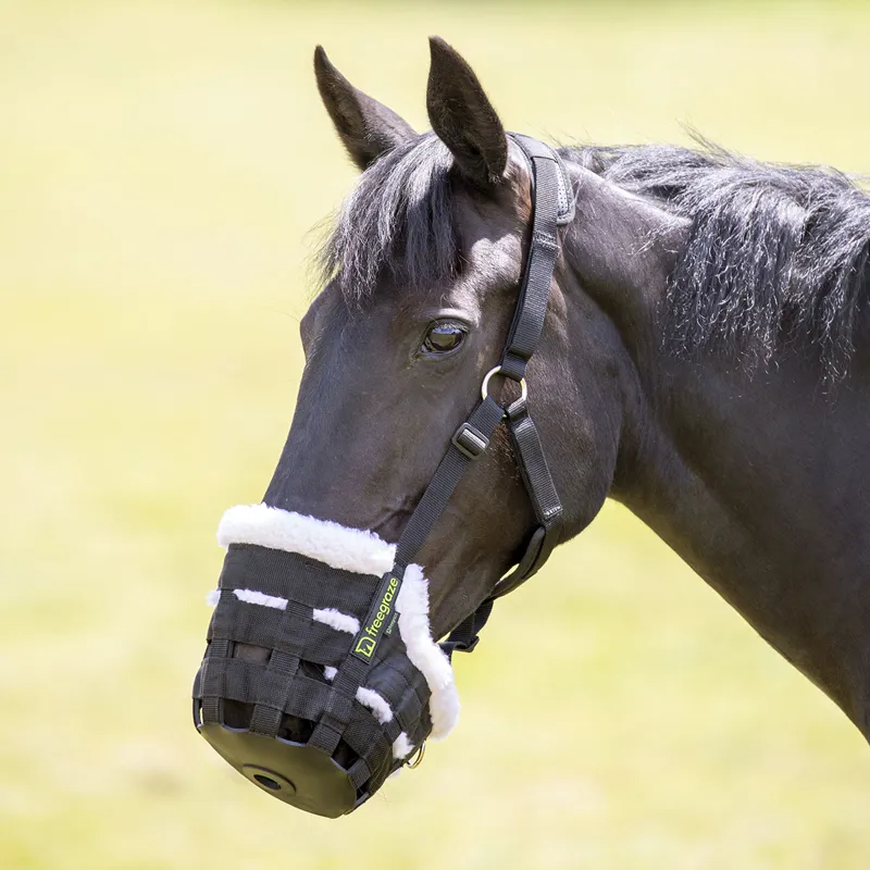 FreeGraze Deluxe Comfort Grazing Muzzle - Black