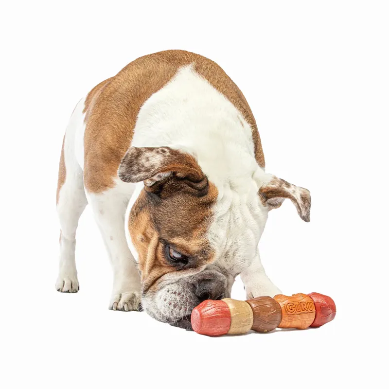 Guru Multi Flavour Stick Dog Chew Toy-5