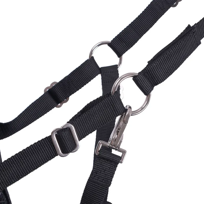 QHP Grazing Muzzle with Nostril Holes - Black-2