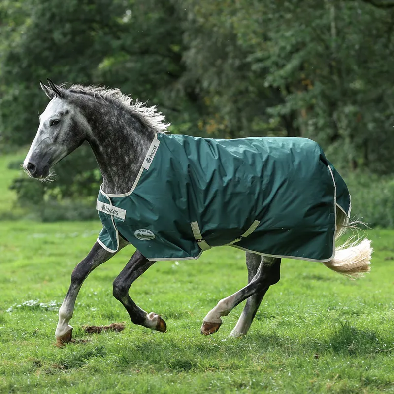 Bucas Greenline 300g Standard Neck Turnout Rug - Green/Cream-9