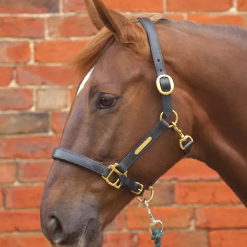 Hy Leather Head Collar - Brown