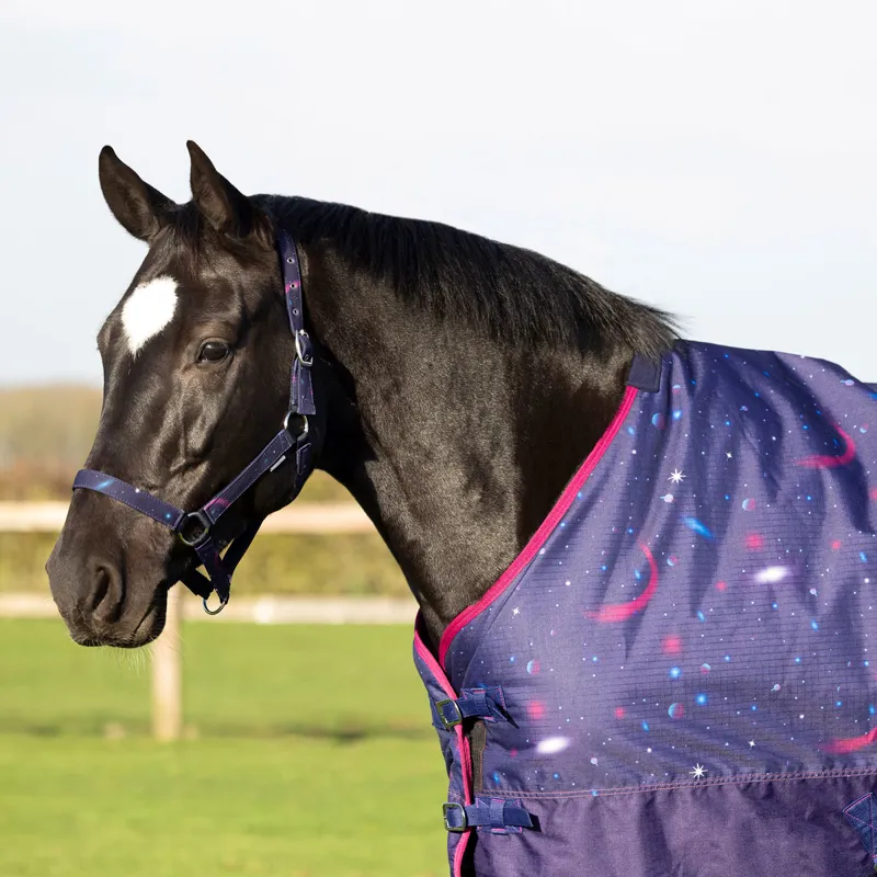 StormX Original 100g Turnout Rug - Out Of This World -4