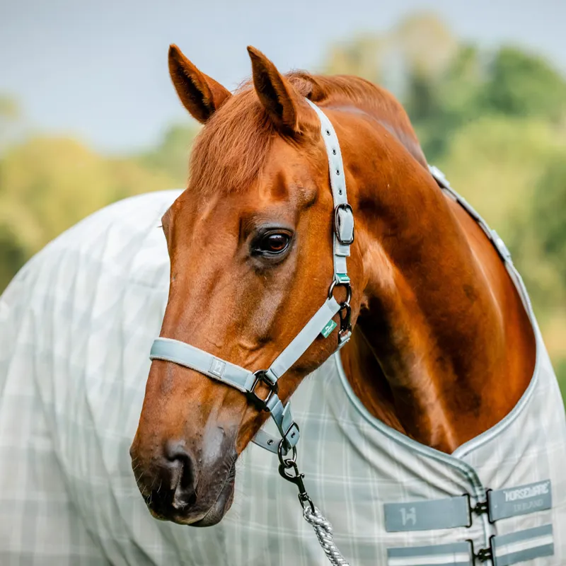 Horseware Newmarket Headcollar and Lead Rope - Witney Charcoal-3