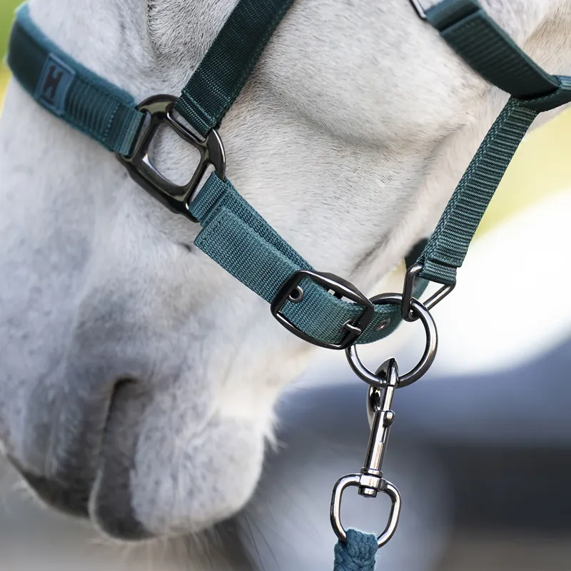 Horseware Headcollar and Lead Rope Set - Dynasty Green-4