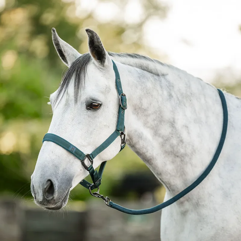 Horseware Headcollar and Lead Rope Set - Dynasty Green
