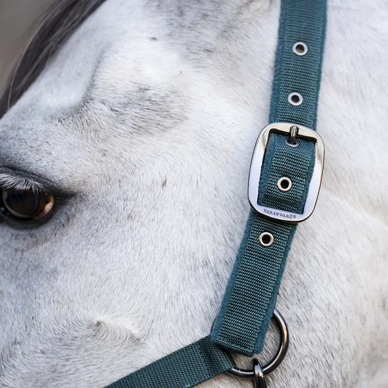 Horseware Headcollar and Lead Rope Set - Dynasty Green-1