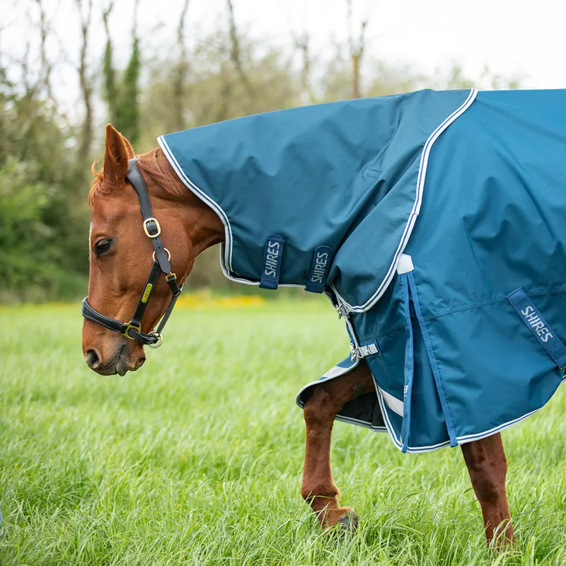 Shires Highlander Original 50g Neck Cover - Ocean-4