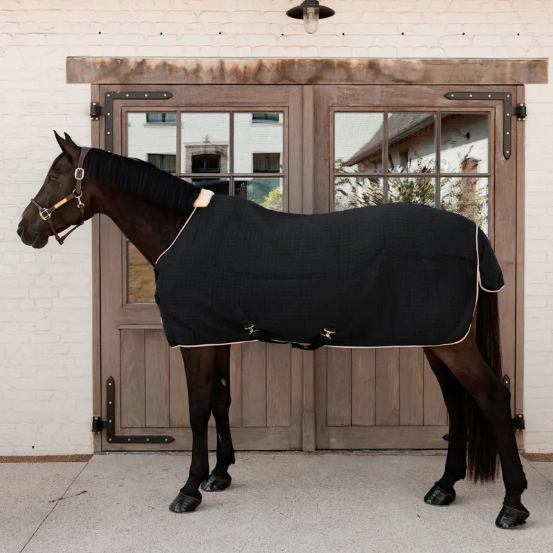 Kentucky PROTherm Cooler Rug - Black