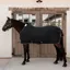 Kentucky PROTherm Cooler Rug - Black